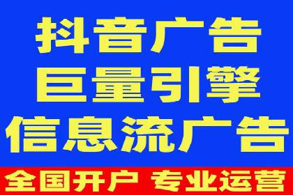 竞价广告的投放策略调整：基于数据反馈的实战案例